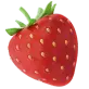Fruits