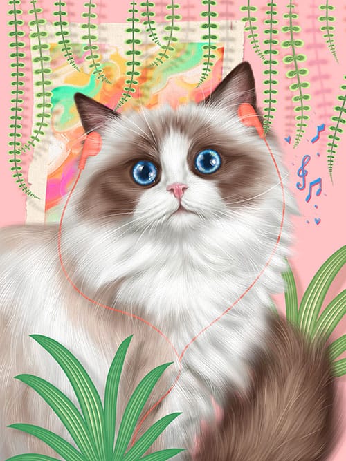 The cat, long fur
