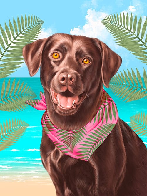 The dog, shiny coats