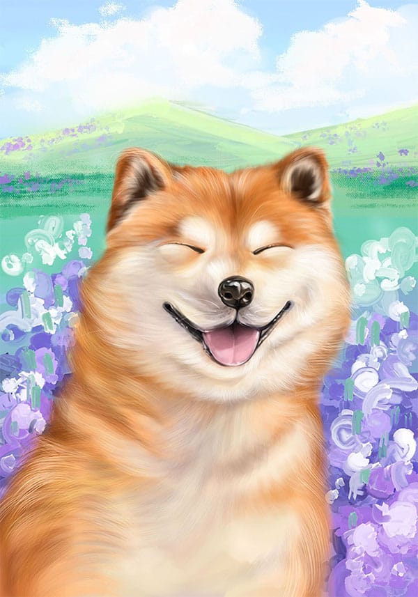 Shiba Sample Artwork